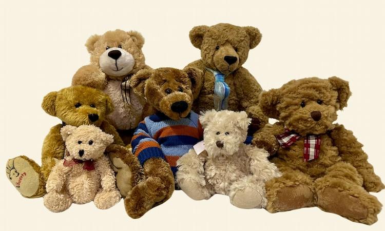 A Bear family waiting to get adopted. 